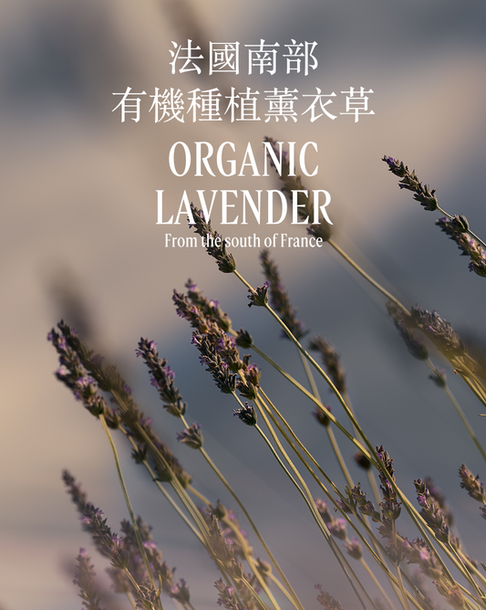 LAVANDE 薰衣草潤手霜