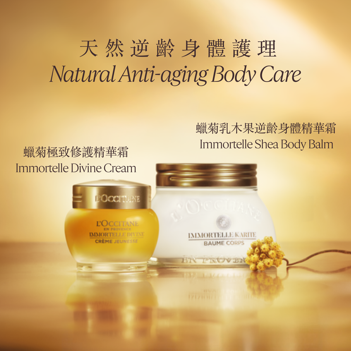 Immortelle Divine Cream