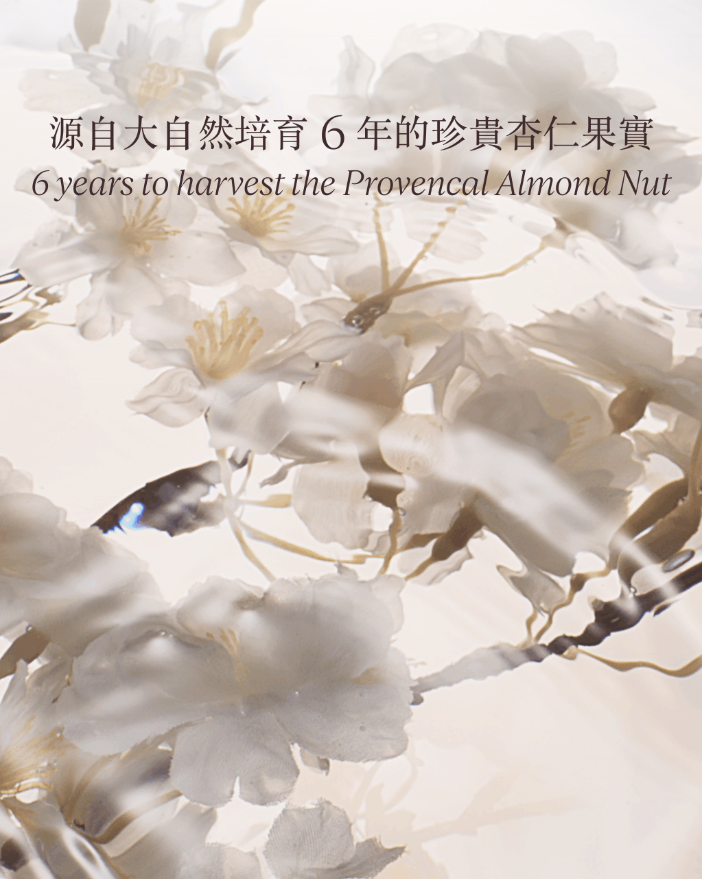 杏仁緊實美膚油