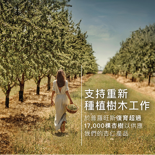 杏仁緊膚乳環保補充裝