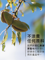 杏仁緊膚乳環保補充裝