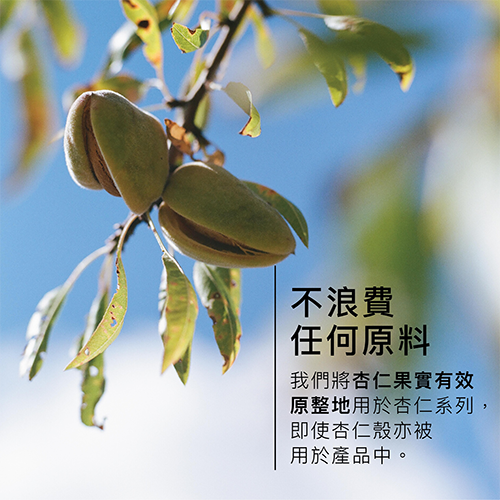 杏仁緊膚乳環保補充裝