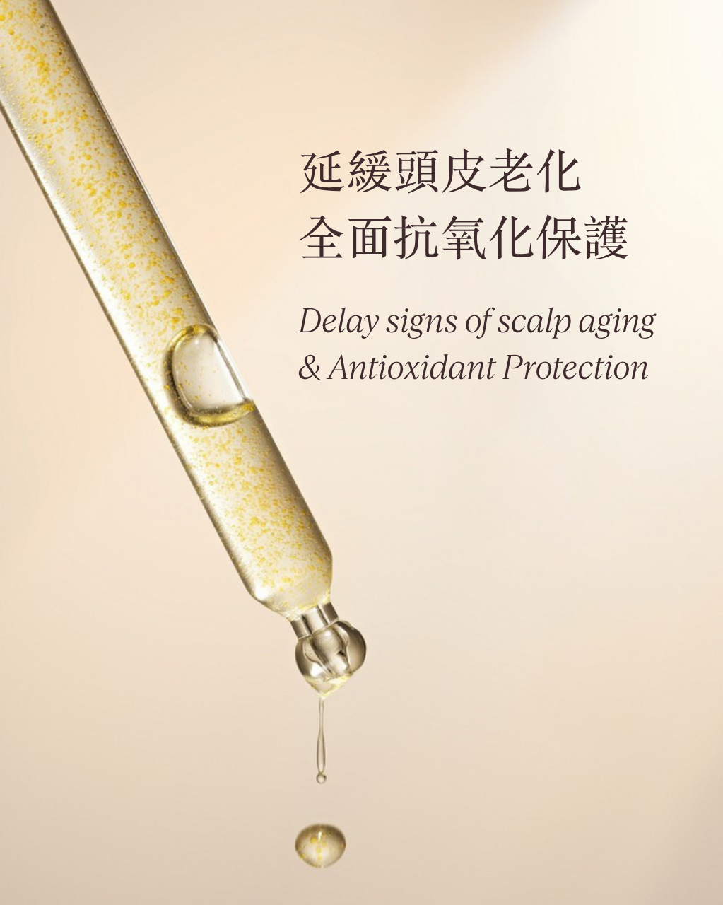 蠟菊極致賦活頭皮精華