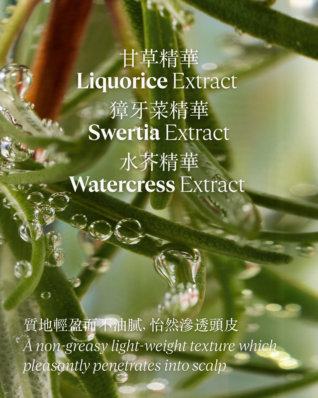 草本療法防掉髮頭皮護理精華
