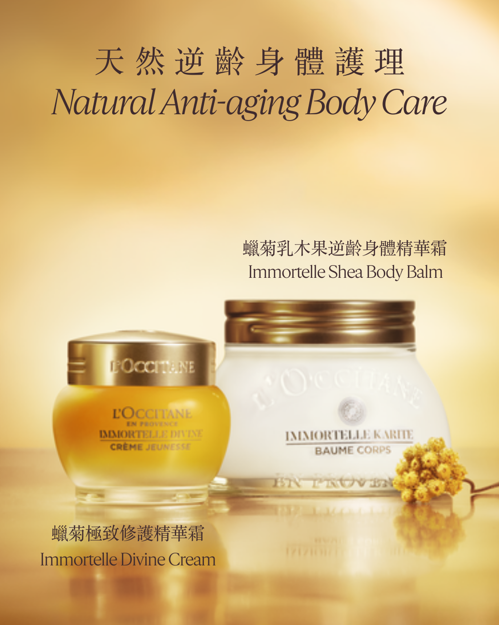 Immortelle Divine Cream | L'OCCITANE EN PROVENCE – L