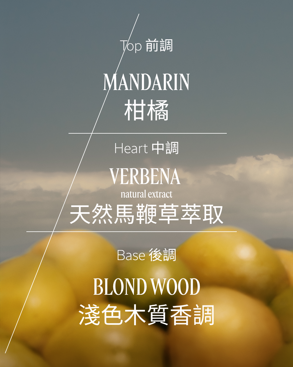 VERVEINE AGRUMES 柑橘馬鞭草潤手啫喱霜