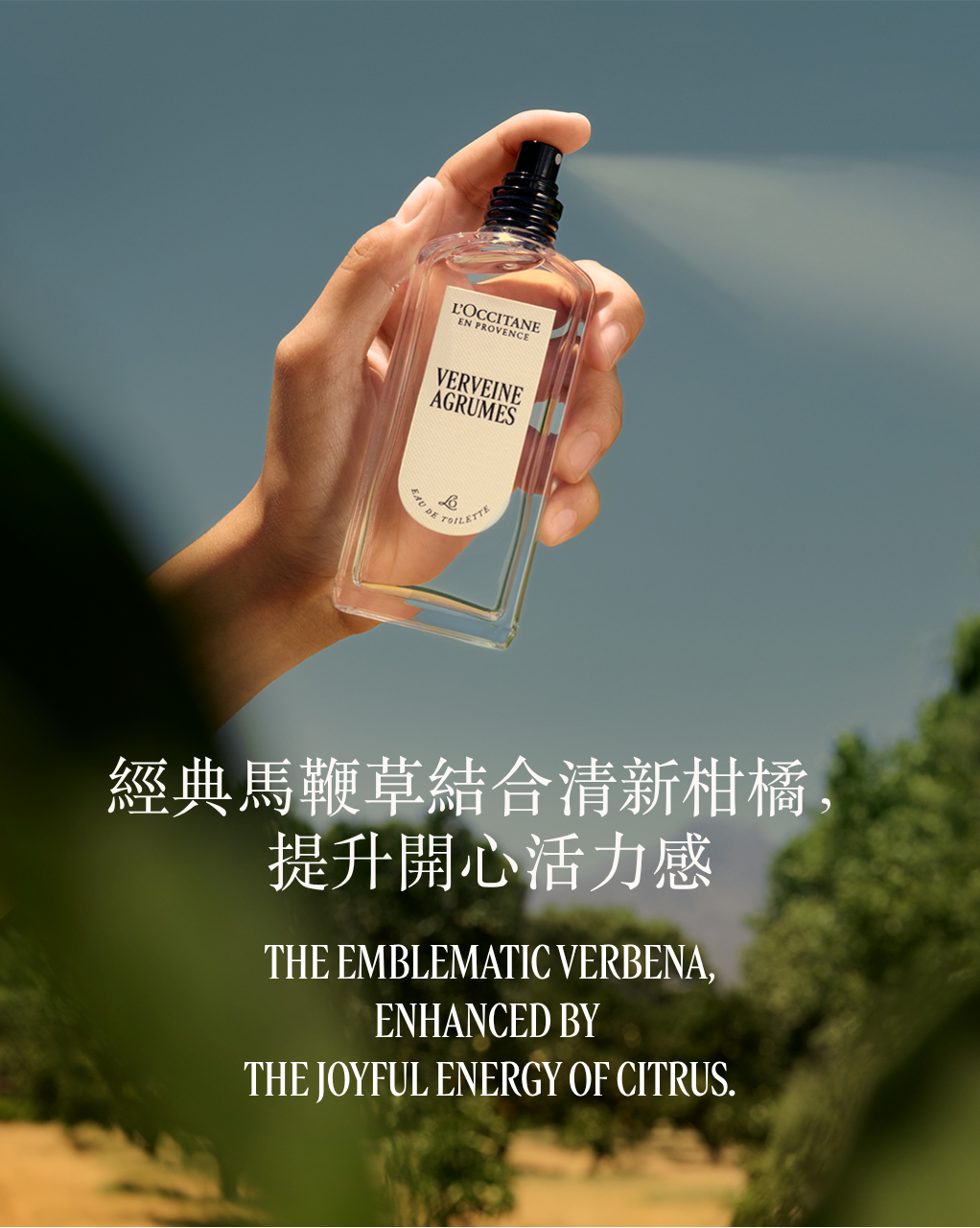 VERVEINE AGRUMES 柑橘馬鞭草潤手啫喱霜 - Image 4