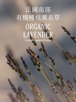LAVANDE 薰衣草淡香氛