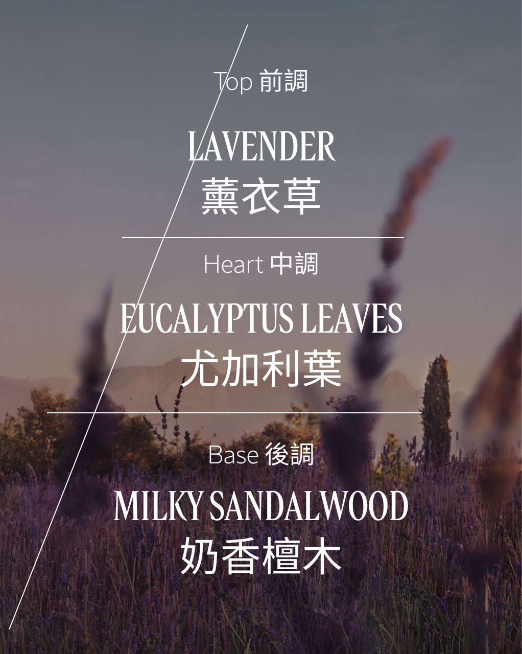 LAVANDE 薰衣草淡香氛