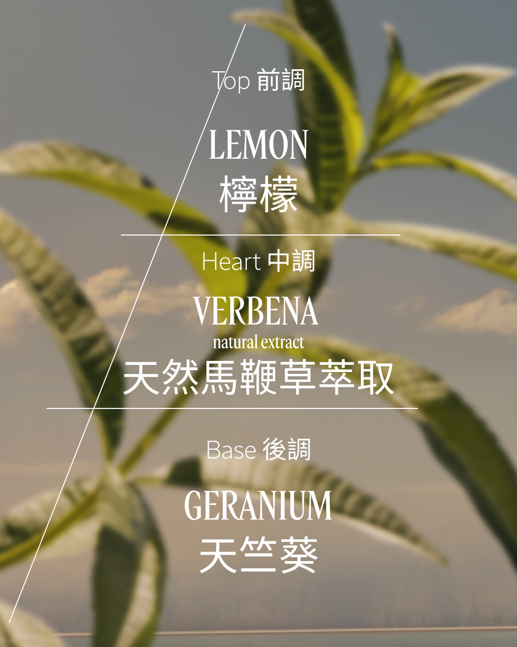 VERBENA 馬鞭草潤手霜 - Image 2