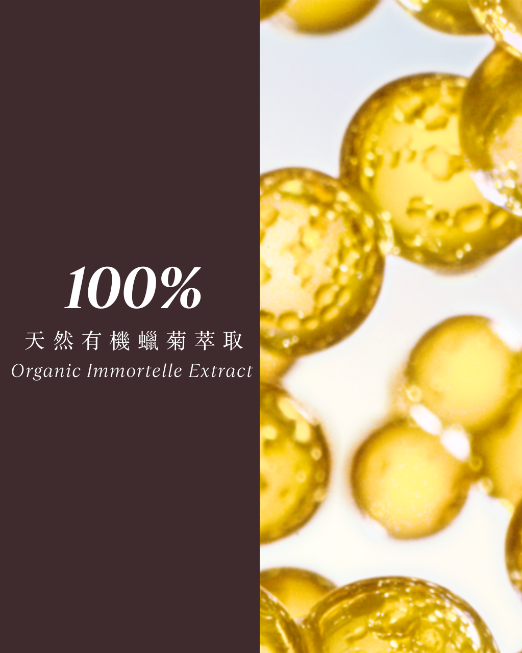 蠟菊煥活雙效精華