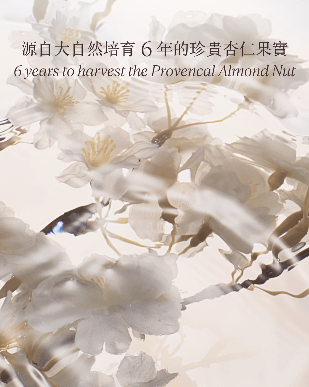 Media preview image alternate text