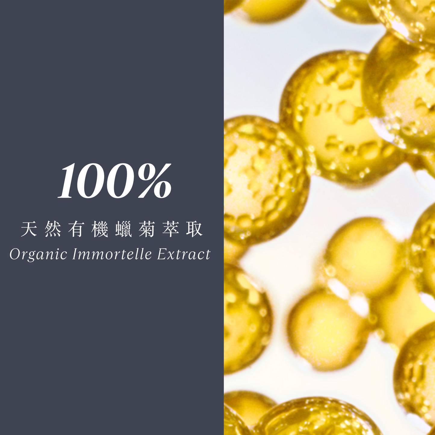 Immortelle Overnight Reset Oil-In-Serum 