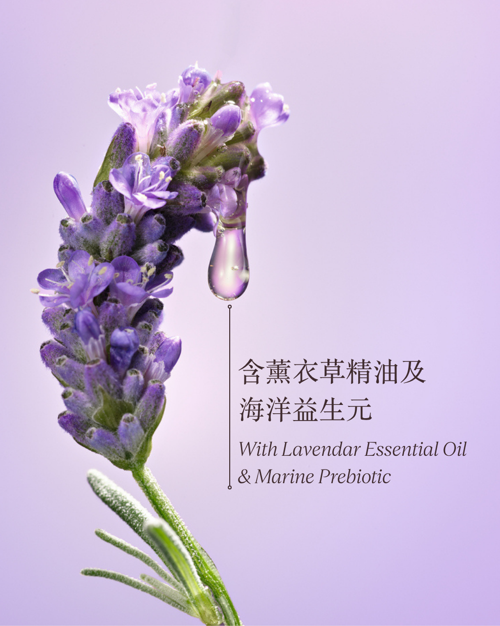 Night Soothing Defense Serum - Image 3
