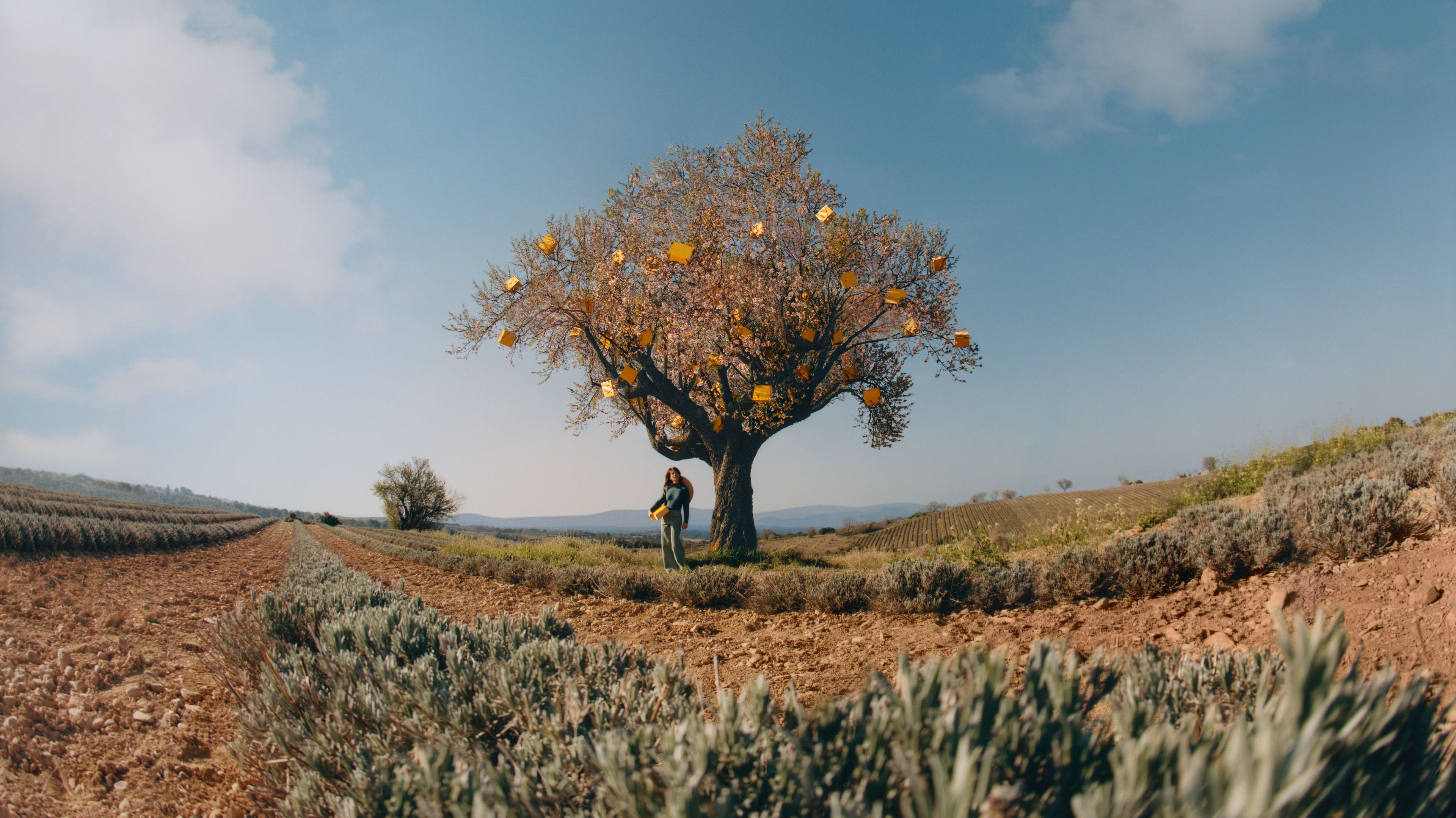 Image banner desktop