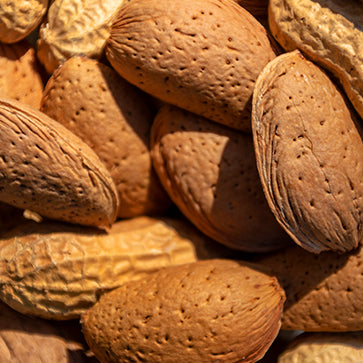 Sweet Almond Oil