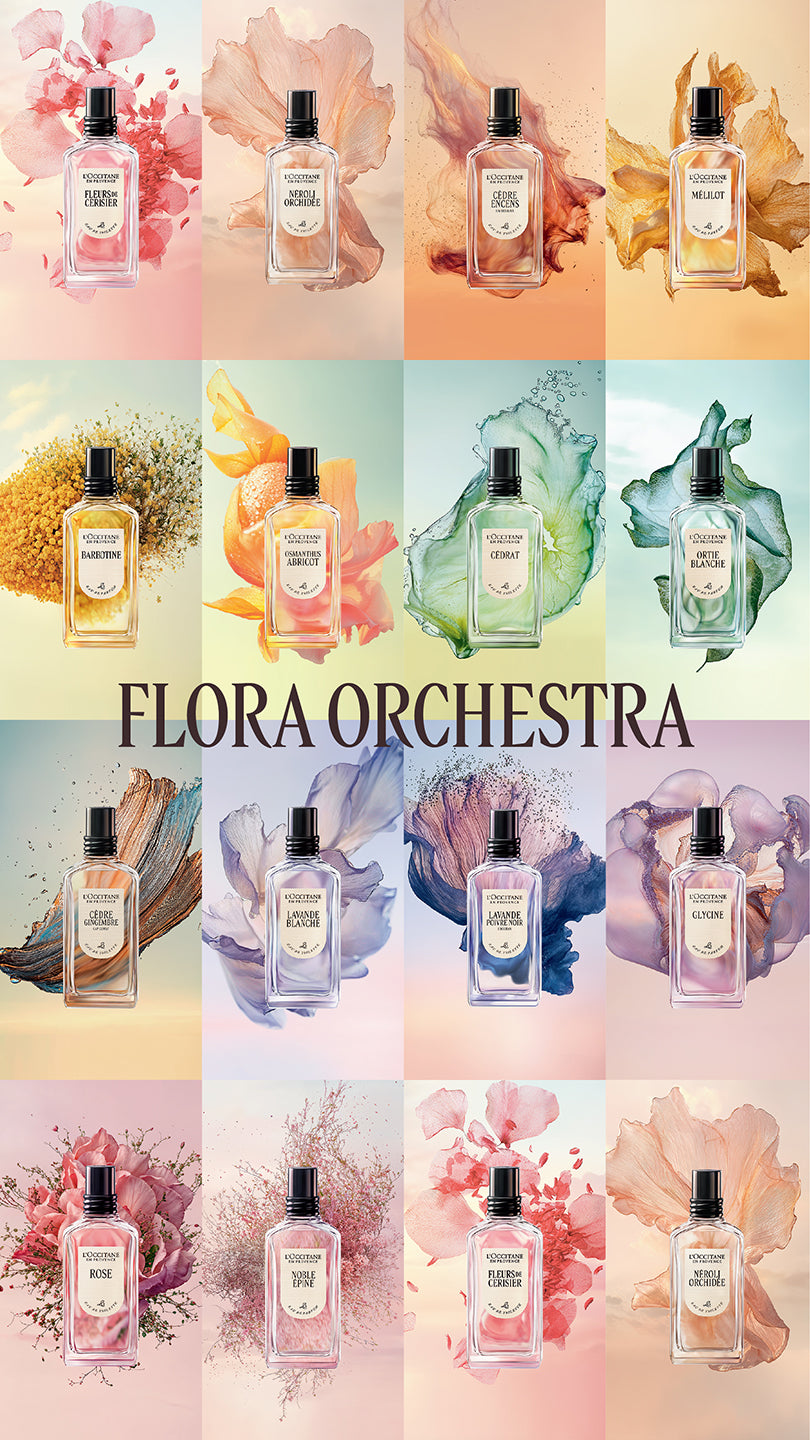 Image banner 2