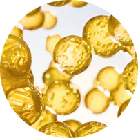 Immortelle_6 Featured Ingredient - L'Occitane