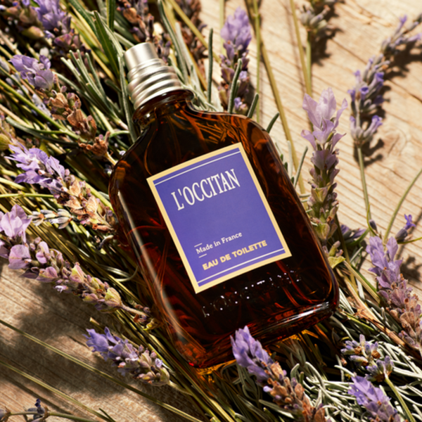 Men's Skincare | L'Occitane HK