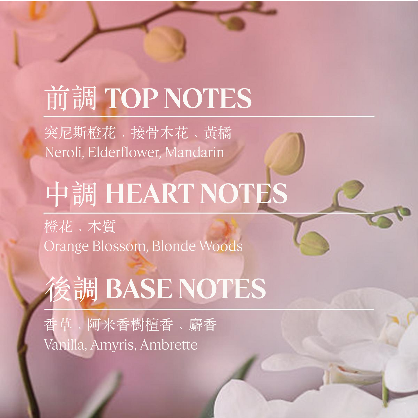 橙花&蘭花和諧之水淡香氛