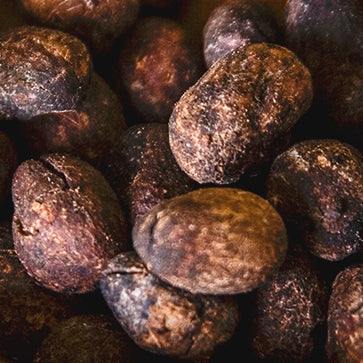 Shea Oil