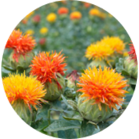 Vitamin_F.png Featured Ingredient - L'Occitane