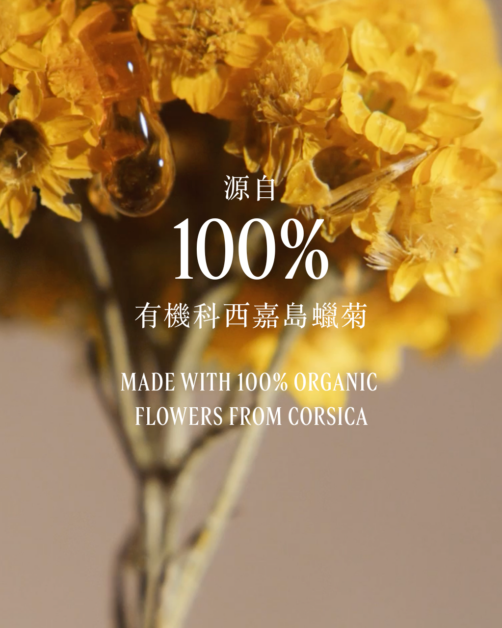 Immortelle Overnight Reset Oil-In-Serum 