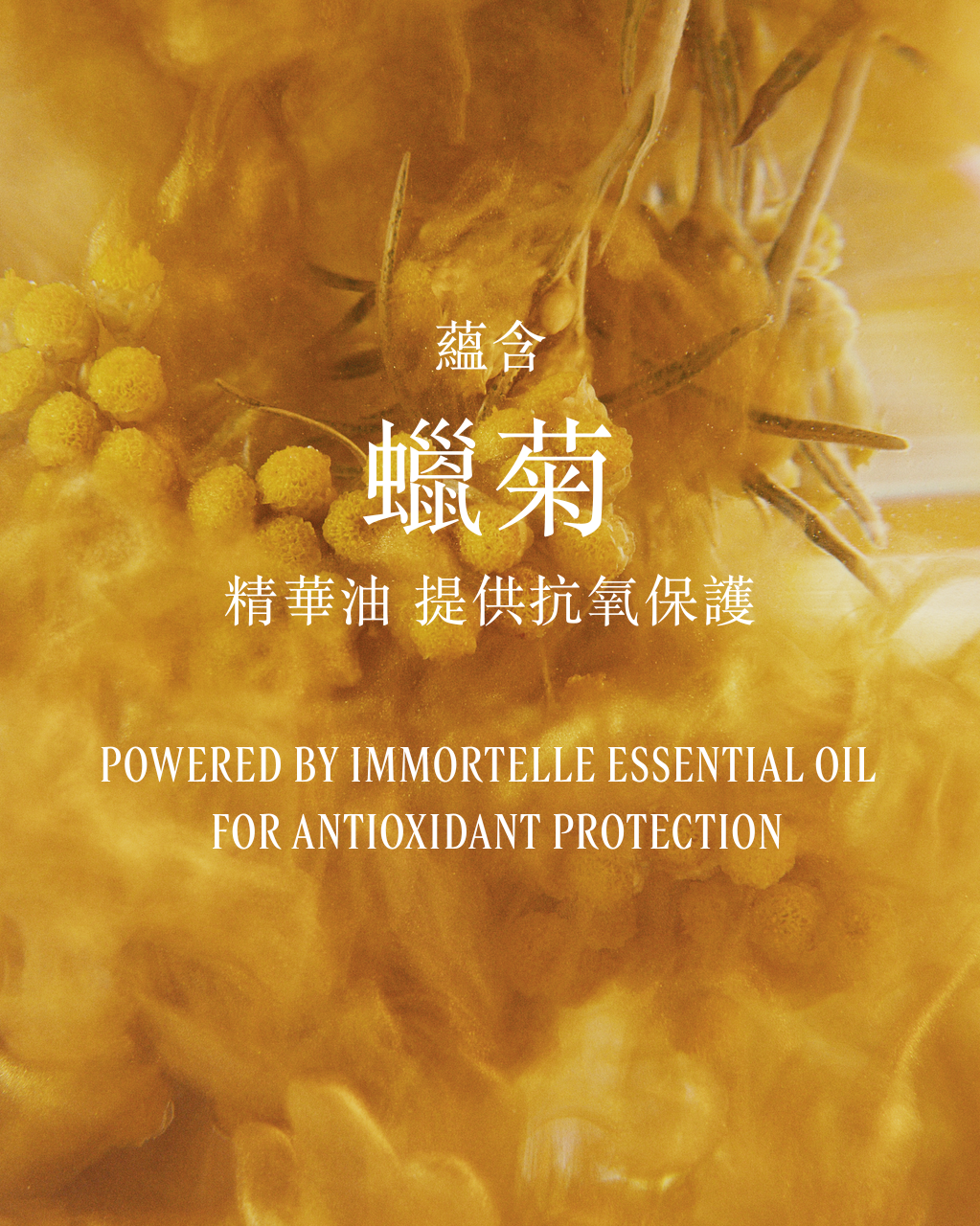 Immortelle Overnight Reset Oil-In-Serum 